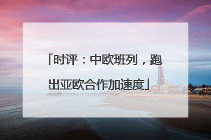 时评：中欧班列，跑出亚欧合作加速度