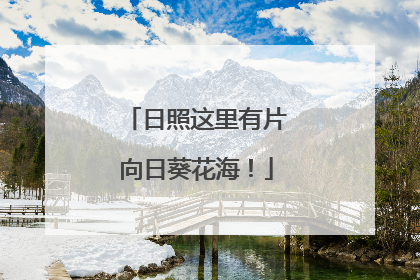 日照这里有片向日葵花海！