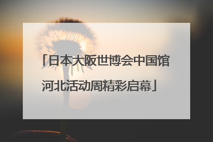 日本大阪世博会中国馆河北活动周精彩启幕