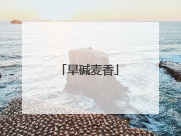 旱碱麦香