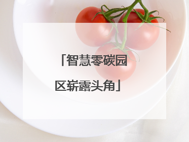 智慧零碳园区崭露头角