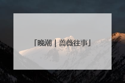 晚潮｜蔷薇往事