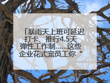暴雨天上班可延迟打卡、推行4.5天弹性工作制……这些企业花式宠员工你“慕”了吗？