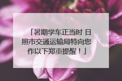 暑期学车正当时 日照市交通运输局特向您作以下郑重提醒！