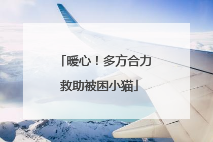 暖心！多方合力救助被困小猫