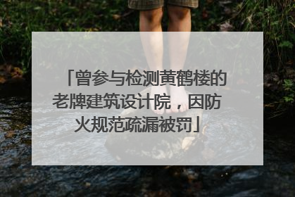 曾参与检测黄鹤楼的老牌建筑设计院，因防火规范疏漏被罚