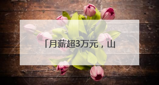月薪超3万元，山东一景区招募语言类NPC，引发热议