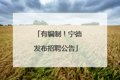 有编制！宁德发布招聘公告