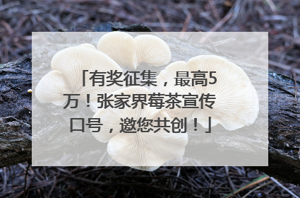 有奖征集，最高5万！张家界莓茶宣传口号，邀您共创！