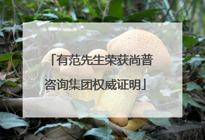 有范先生荣获尚普咨询集团权威证明