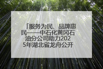 服务为民、品牌惠民——中石化黄冈石油分公司助力2025年湖北省龙舟公开赛（黄冈站）