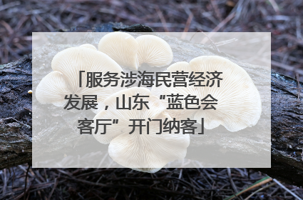 服务涉海民营经济发展，山东“蓝色会客厅”开门纳客
