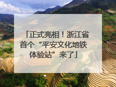 正式亮相！浙江省首个“平安文化地铁体验站”来了