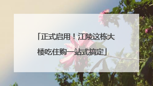 正式启用！江陵这栋大楼吃住购一站式搞定