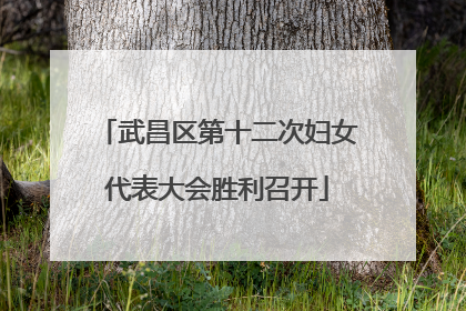 武昌区第十二次妇女代表大会胜利召开