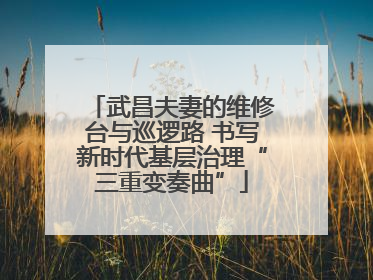 武昌夫妻的维修台与巡逻路 书写新时代基层治理“三重变奏曲”