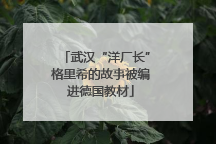 武汉“洋厂长”格里希的故事被编进德国教材