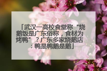 武汉一高校食堂称“烧鹅饭是广东俗称，食材为烤鸭”？广东多家烧鹅店：鸭是鸭鹅是鹅