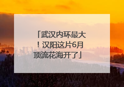 武汉内环最大！汉阳这片6月顶流花海开了