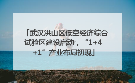 武汉洪山区低空经济综合试验区建设启动，“1+4+1”产业布局初现
