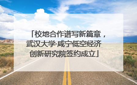 校地合作谱写新篇章，武汉大学·咸宁低空经济创新研究院签约成立