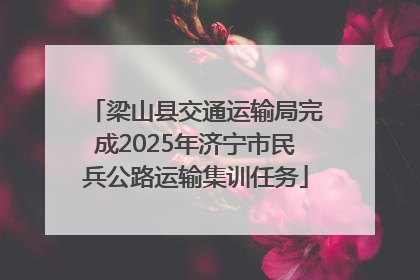 梁山县交通运输局完成2025年济宁市民兵公路运输集训任务