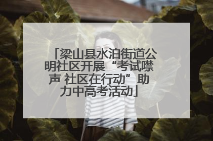 梁山县水泊街道公明社区开展“考试噤声 社区在行动”助力中高考活动