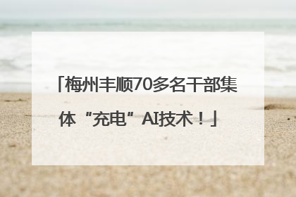 梅州丰顺70多名干部集体“充电”AI技术！