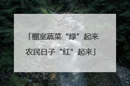棚室蔬菜“绿”起来 农民日子“红”起来