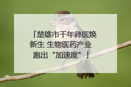 楚雄市千年彝医焕新生 生物医药产业跑出“加速度”