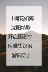 槐花如海 沈阳精彩开启国潮中医雅集汉服游园会