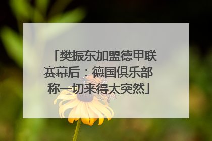 樊振东加盟德甲联赛幕后：德国俱乐部称一切来得太突然