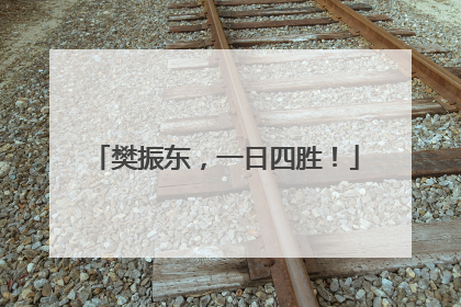 樊振东，一日四胜！