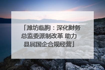 潍坊临朐：深化财务总监委派制改革 助力县属国企合规经营
