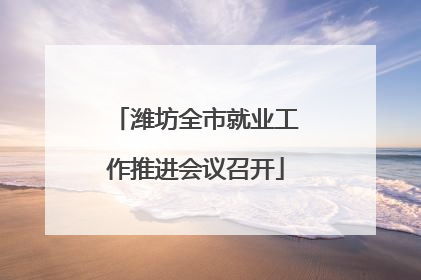 潍坊全市就业工作推进会议召开