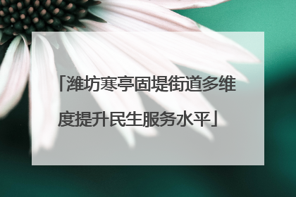 潍坊寒亭固堤街道多维度提升民生服务水平