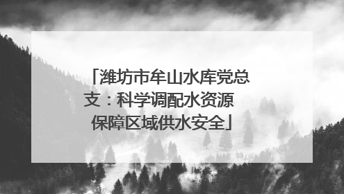 潍坊市牟山水库党总支：科学调配水资源 保障区域供水安全