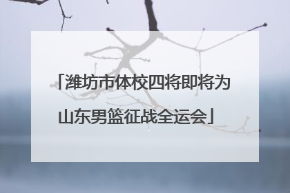 潍坊市体校四将即将为山东男篮征战全运会