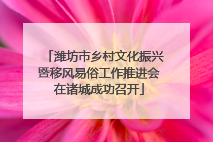 潍坊市乡村文化振兴暨移风易俗工作推进会在诸城成功召开