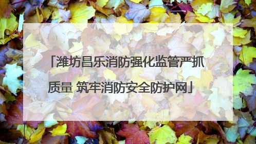 潍坊昌乐消防强化监管严抓质量 筑牢消防安全防护网