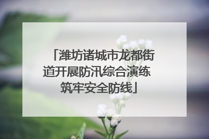 潍坊诸城市龙都街道开展防汛综合演练 筑牢安全防线