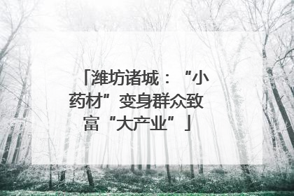 潍坊诸城：“小药材”变身群众致富“大产业”