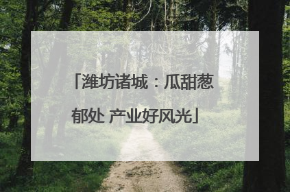 潍坊诸城：瓜甜葱郁处 产业好风光