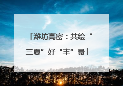 潍坊高密：共绘“三夏”好“丰”景
