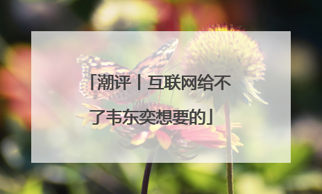 潮评丨互联网给不了韦东奕想要的