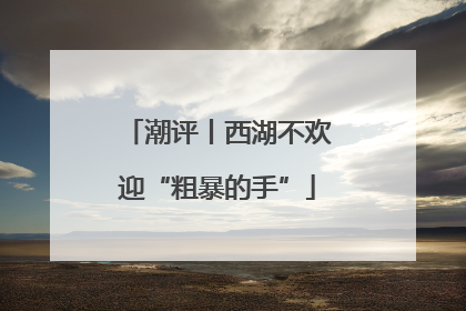潮评丨西湖不欢迎“粗暴的手”