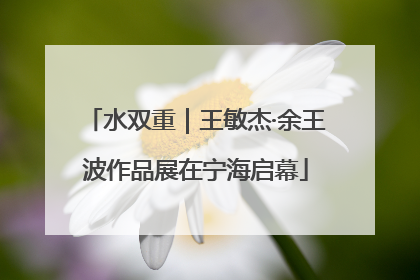 水双重｜王敏杰·余王波作品展在宁海启幕