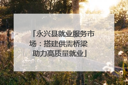 永兴县就业服务市场：搭建供需桥梁 助力高质量就业