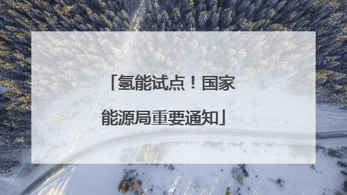 氢能试点！国家能源局重要通知