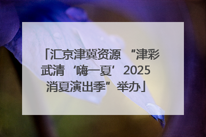 汇京津冀资源 “津彩武清‘嗨一夏’2025消夏演出季”举办